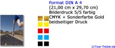 DIN A 4 5/5-farbig (CMYK+Gold)