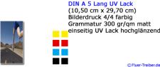 Postkarte DIN A 5 Lang 4/4 farbig