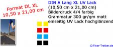 Postkarte DIN A Lang XL 4/4 farbig