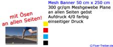 Mesh Banner 50 cm x 250 cm