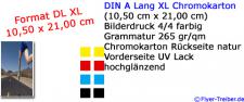 Postkarte DIN Lang XL 4/4 farbig