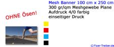 Mesh Banner 100 cm x 250 cm
