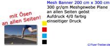 Mesh Banner 200 cm x 300 cm